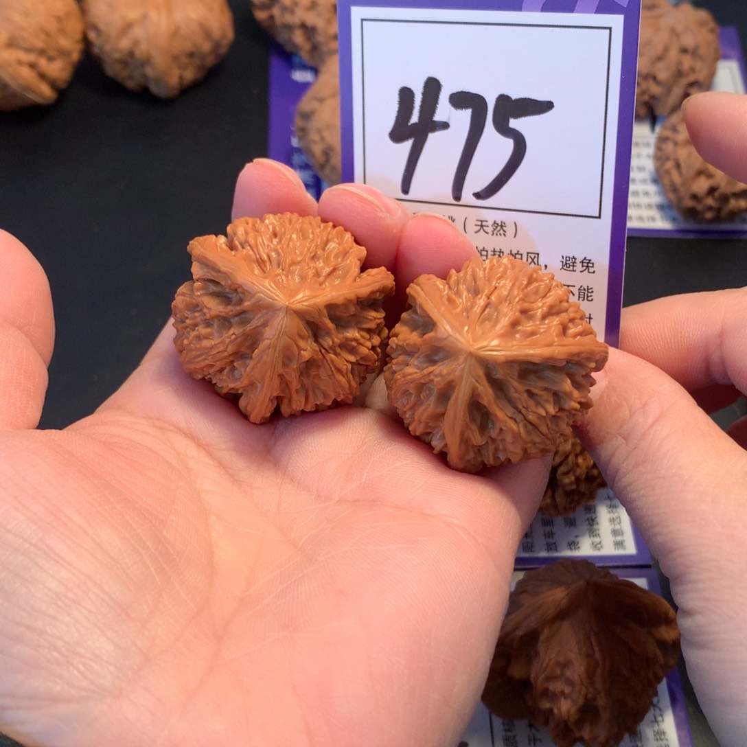 核桃475文山三棱3.6修