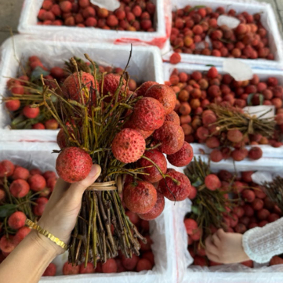 越南大荔枝荔枝同城送越南