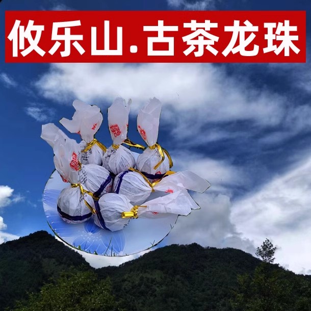 攸乐山亚诺古树普洱茶15粒龙珠】8克高山高杆细润花蜜香武侯遗种