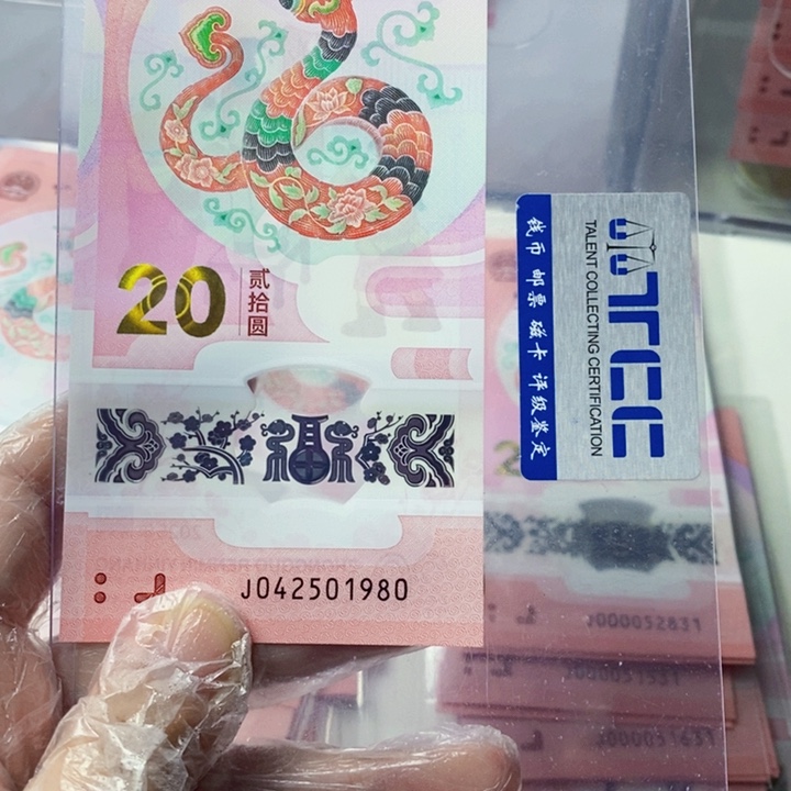 塑料蛇钞042501980年份号