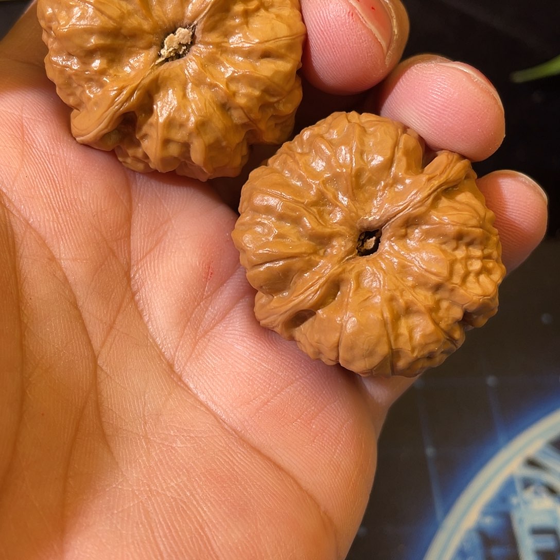 把件文玩核桃致****笃头38