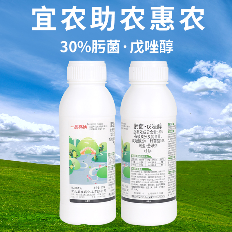 【直播专属】一品亮艳30%肟菌·戊唑醇赤霉早疫杀菌悬浮剂