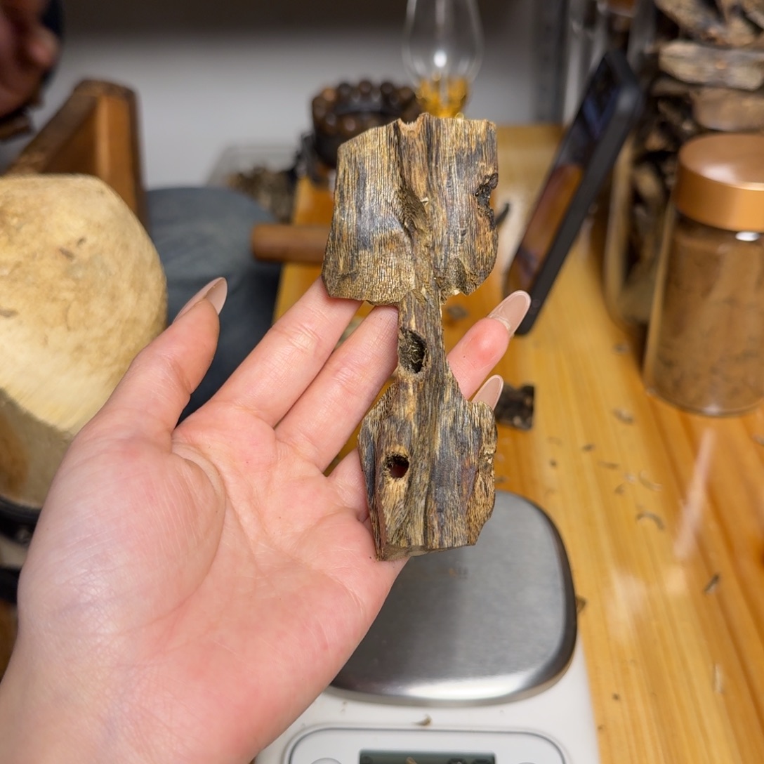 沉香白奇虫漏19克