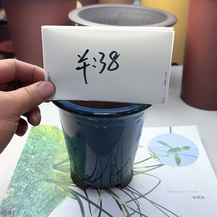 紫砂2222222222222222222