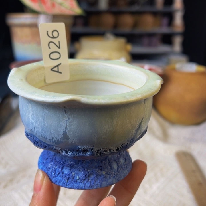 景德镇陶瓷研究所研究青*