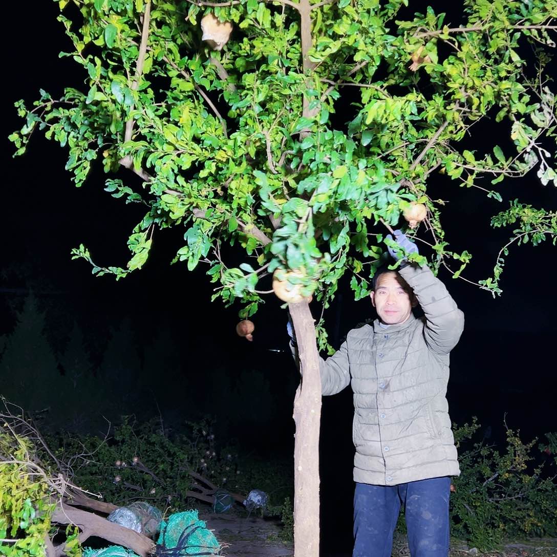 无花朵健健康康快快乐乐