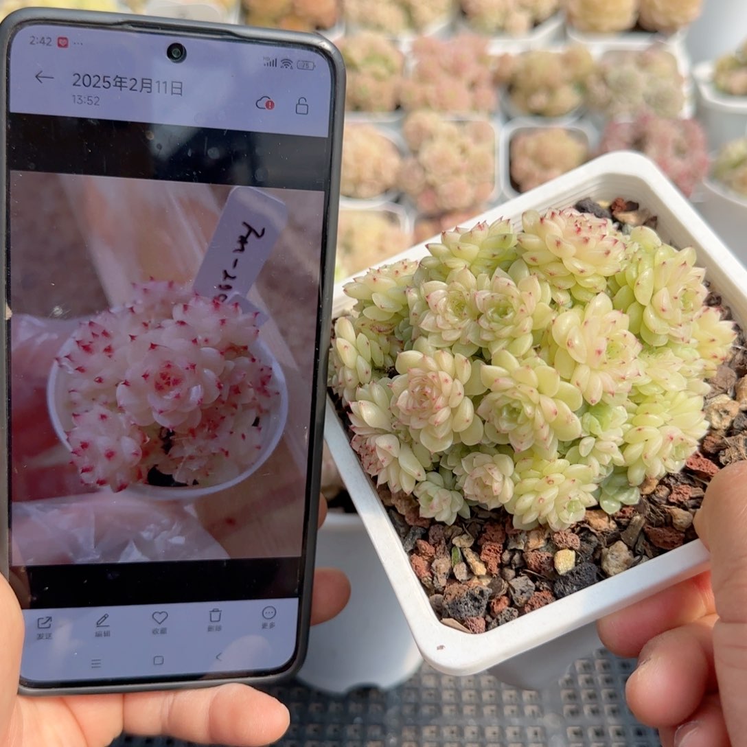 【闪购商品】0220-110（fm-200）