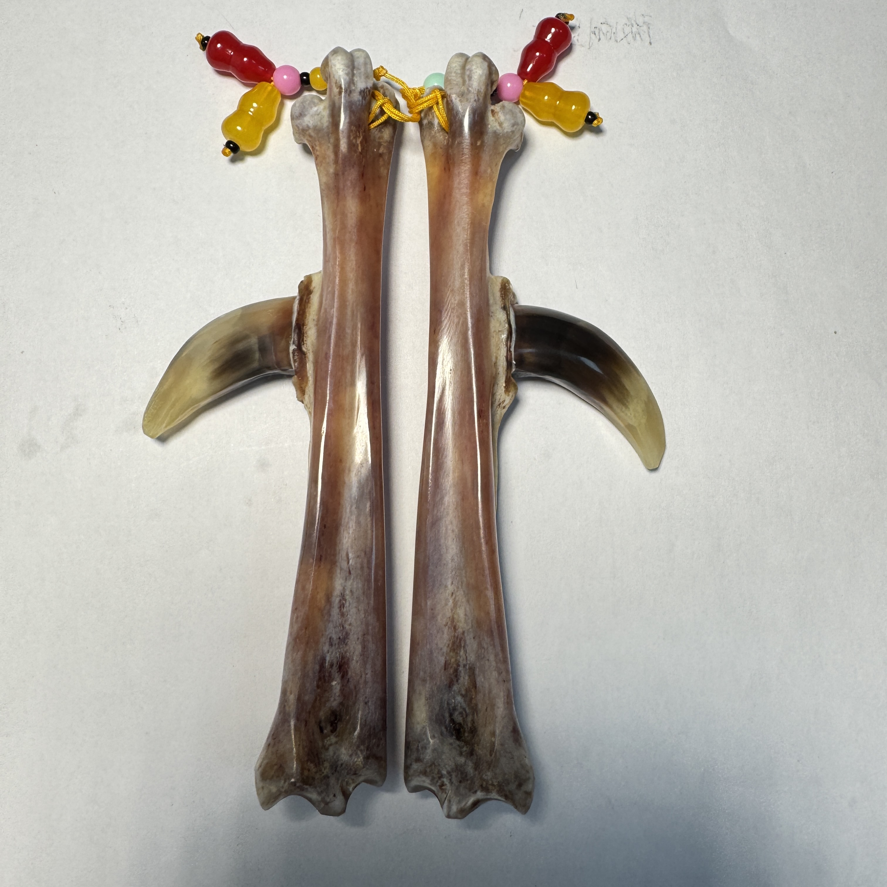鸡爪骨工艺品，斗鸡小弯钩，骨长14公分