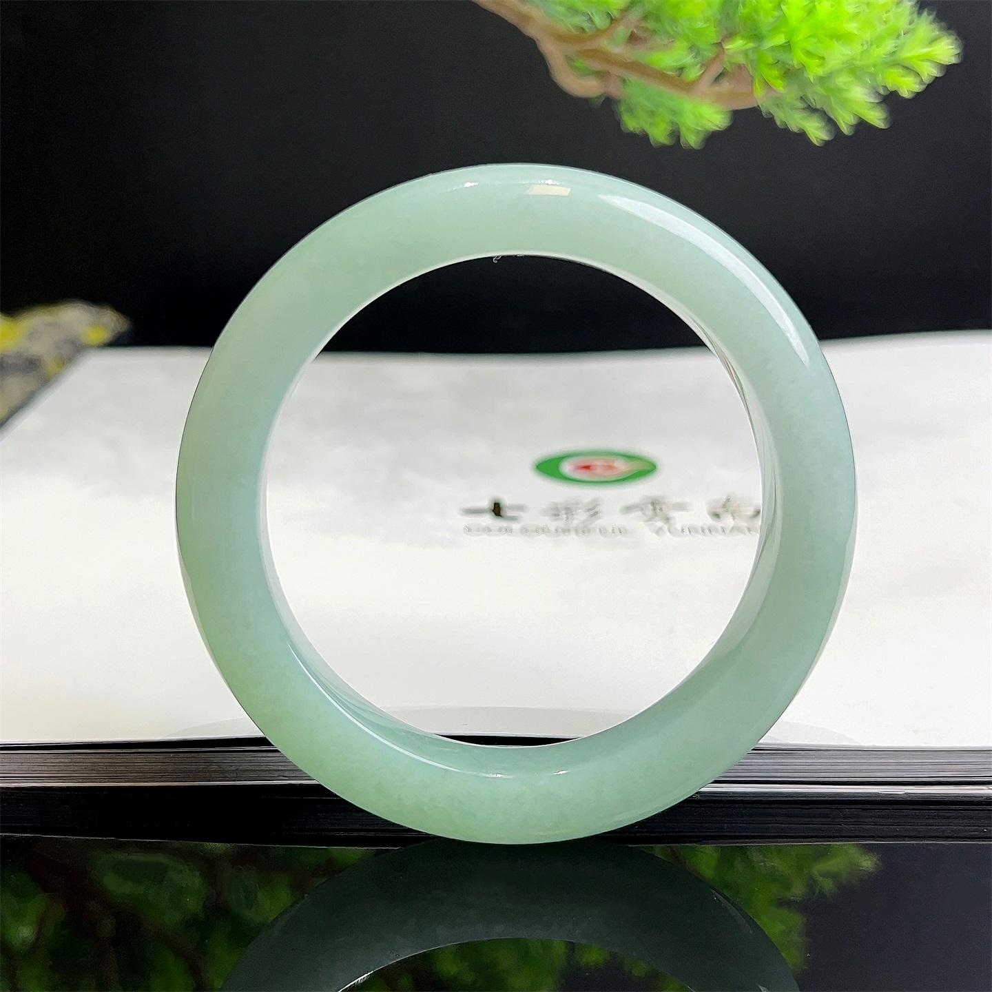 Colourful Yunnan/七彩云南天然翡翠高细糯化果绿翡翠手镯