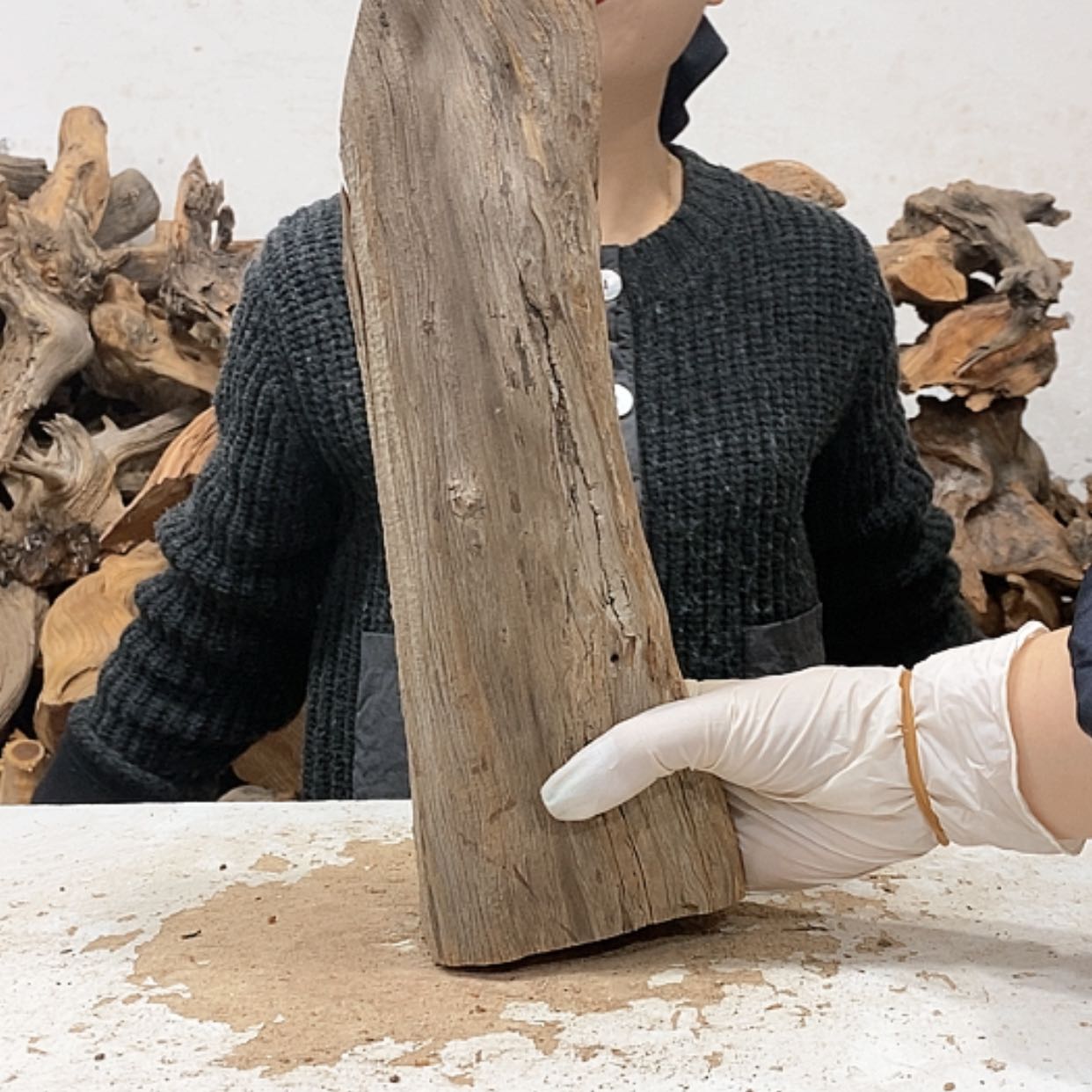 【闪购商品】柏木用****6我们都是好孩子