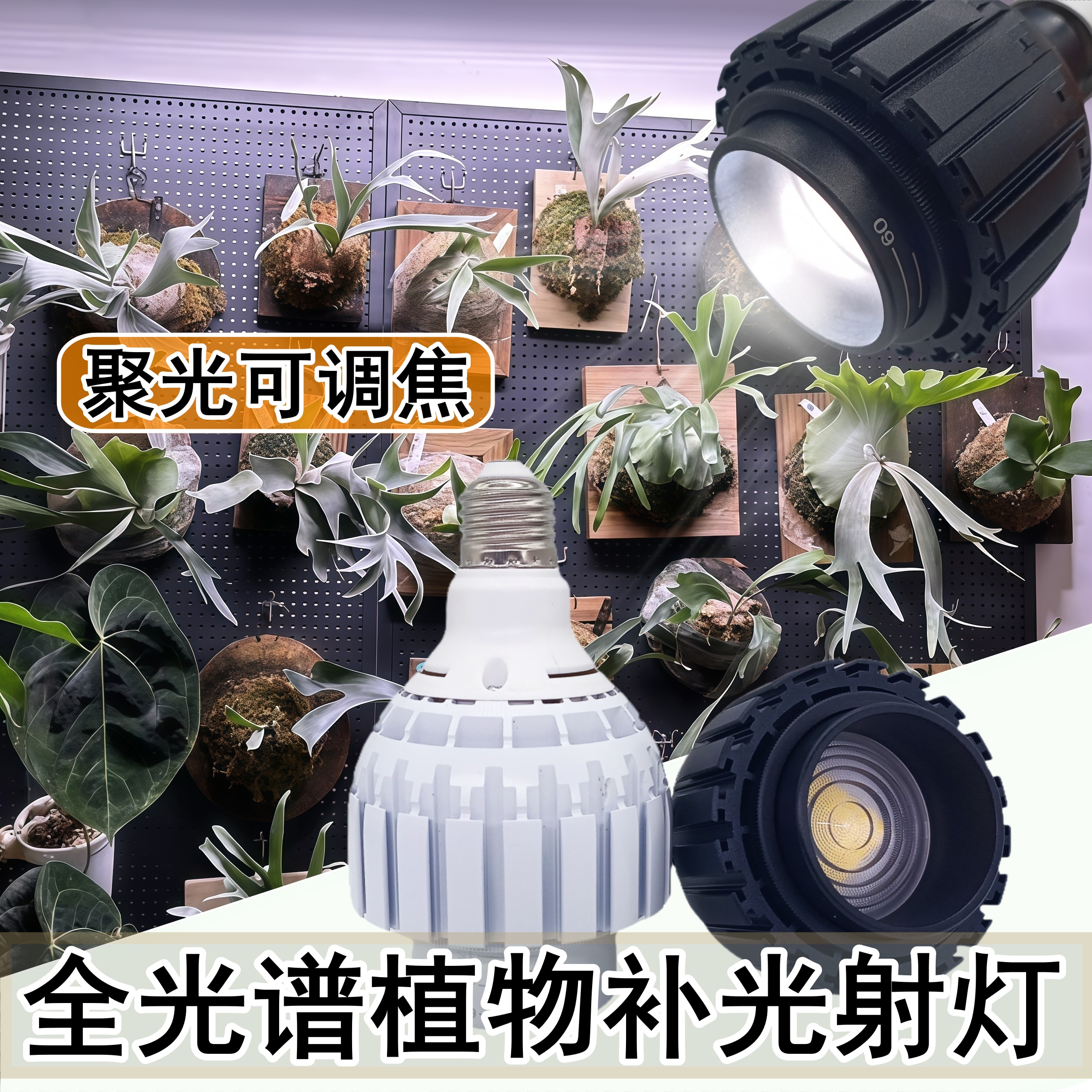科维隆植物补光灯聚光灯泡家用龙舌兰块根绿植全光谱植物生长灯