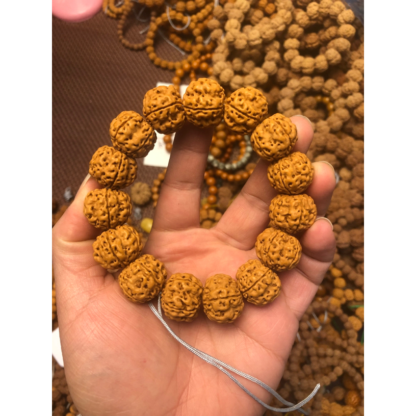 帝王龙手串17-18mm左右金刚菩提手串小金刚菩提籽粗筋爆肉梅花桩