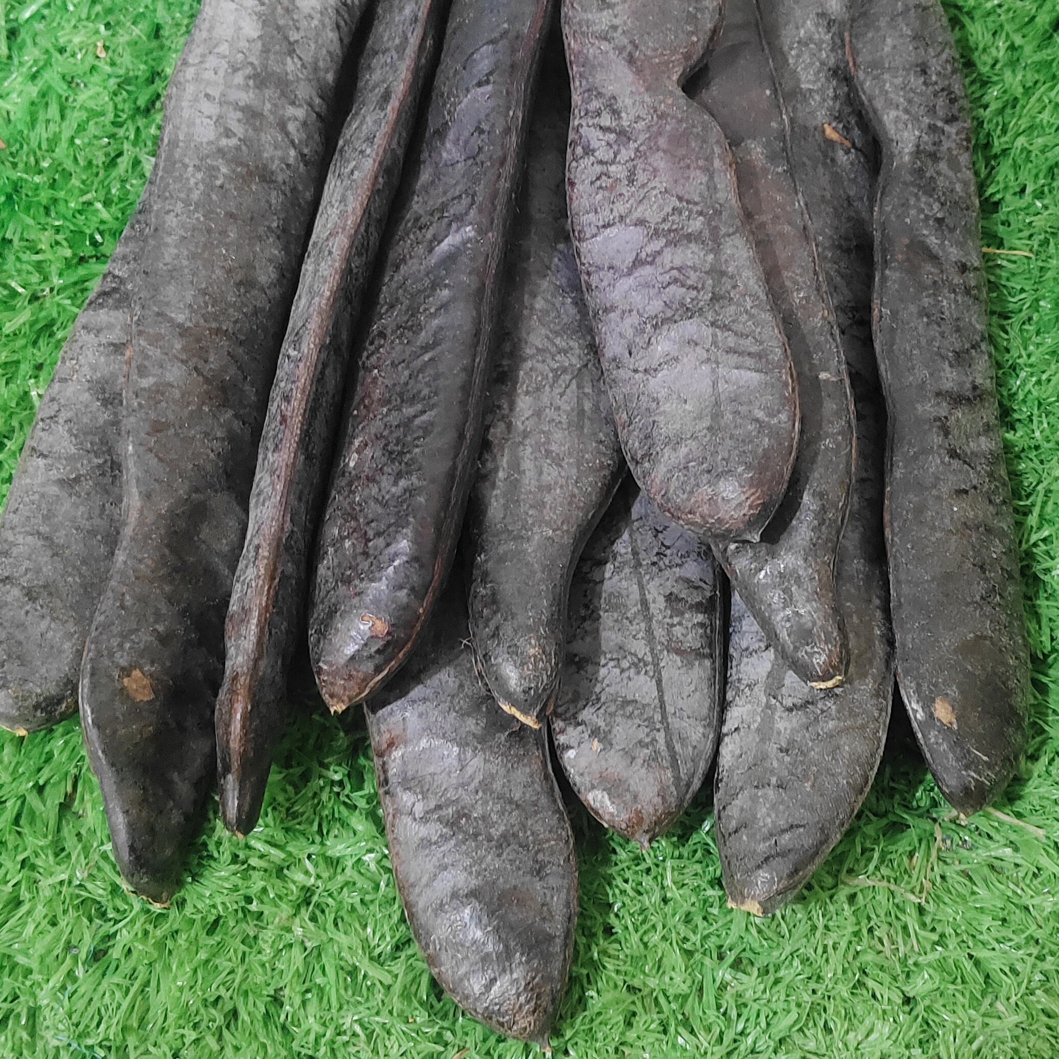 野生大皂角纯天然皂荚穿手串洗头洗澡整根皂角