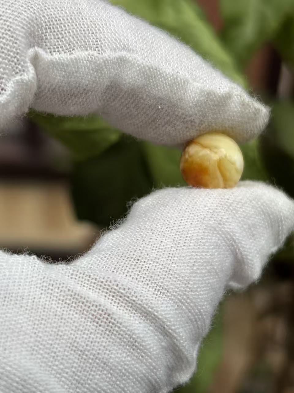  2662天然蜜蜡琥珀圆珠10.5mm