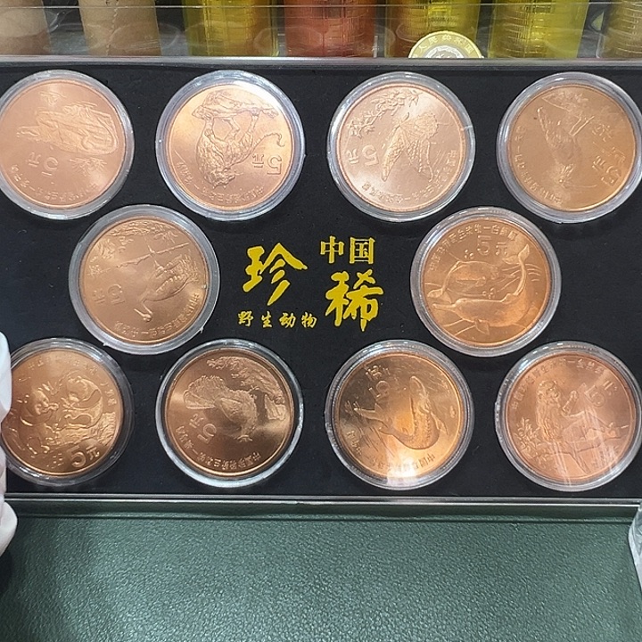 其他普通金属珍惜野生动物一套亚克力盒