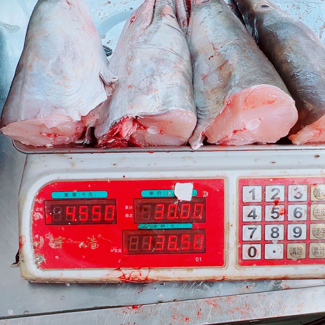 中国大陆四个鳗鱼头