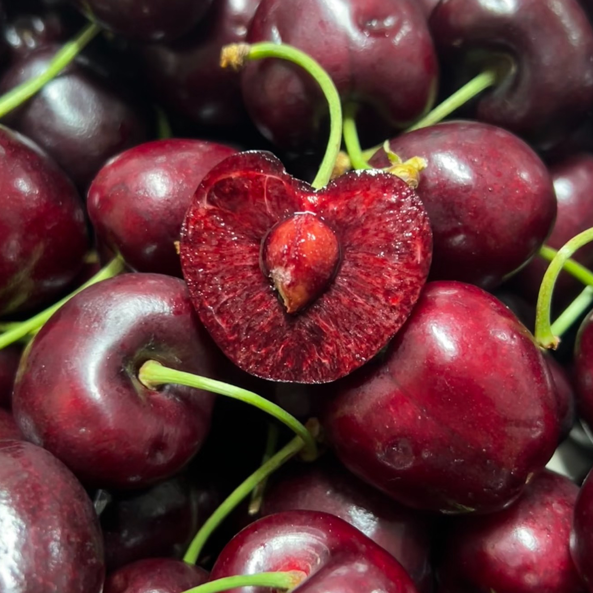 空运桑提娜车厘子2j内附果径卡京东包邮