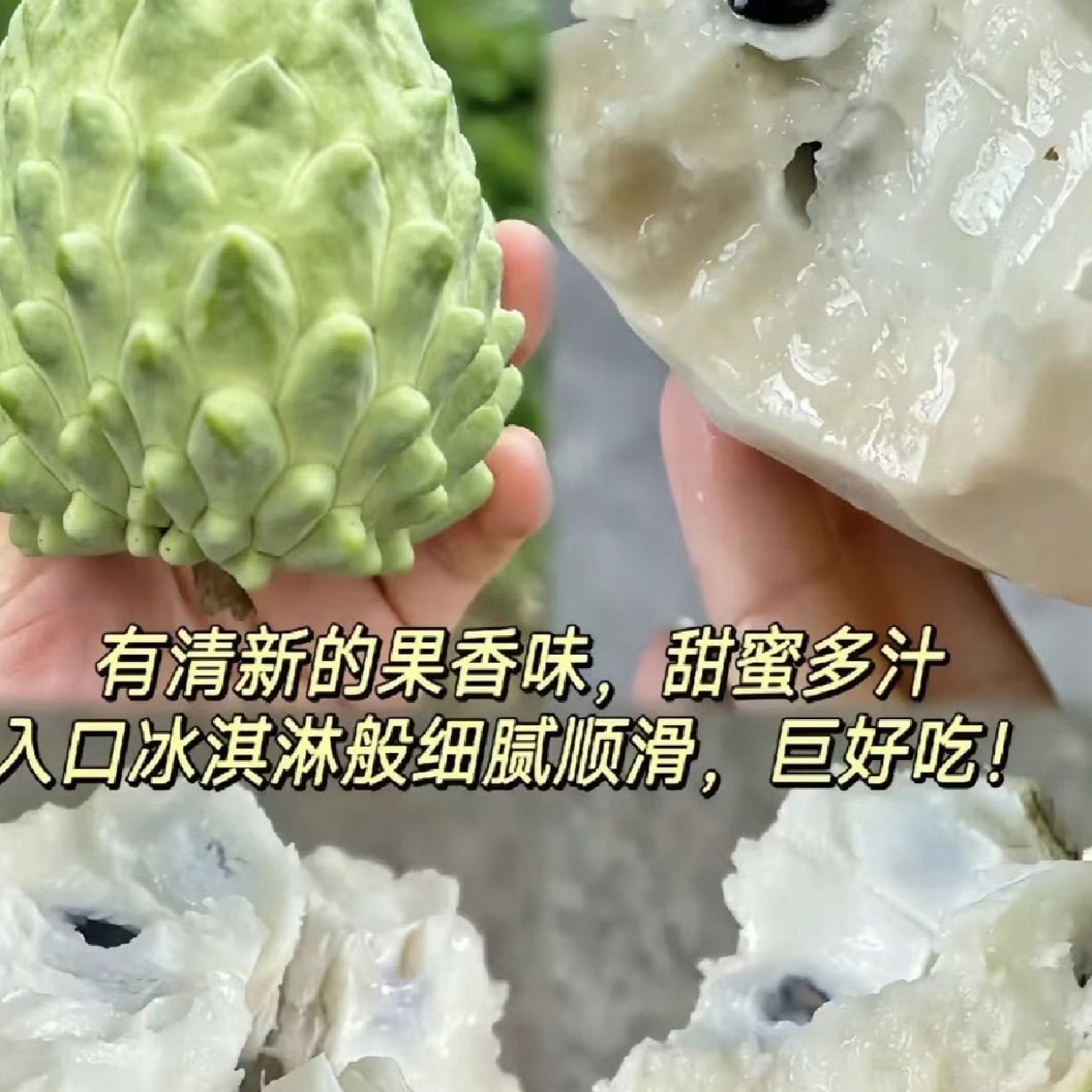 【放软食用*中通】云南牛奶凤梨释迦果应季水果冬日稀缺甜蜜水果