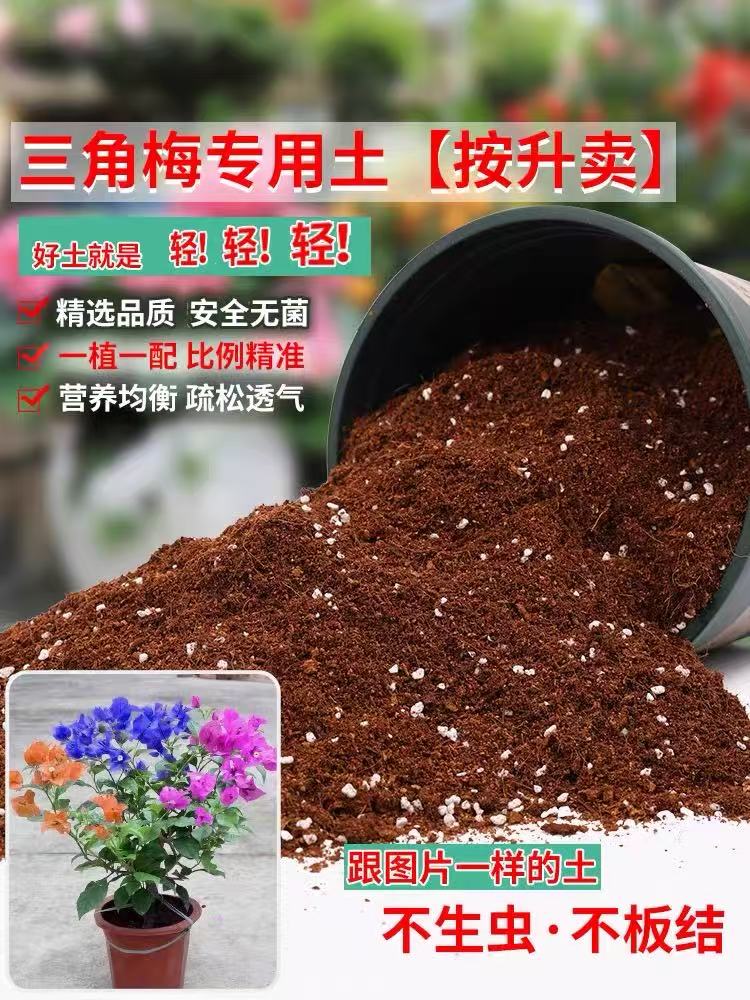 三角梅专用营养土花土 开花专用土盆栽土壤肥料泥土种植土培养土