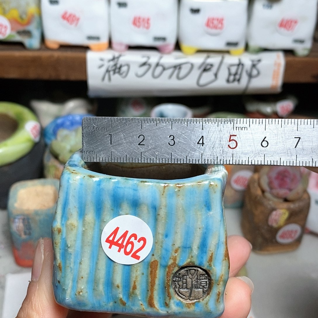 红陶拍5送一个小