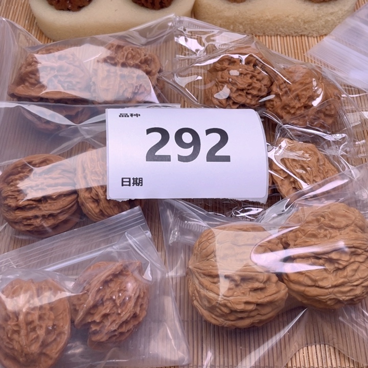 文玩核桃把件292号6对