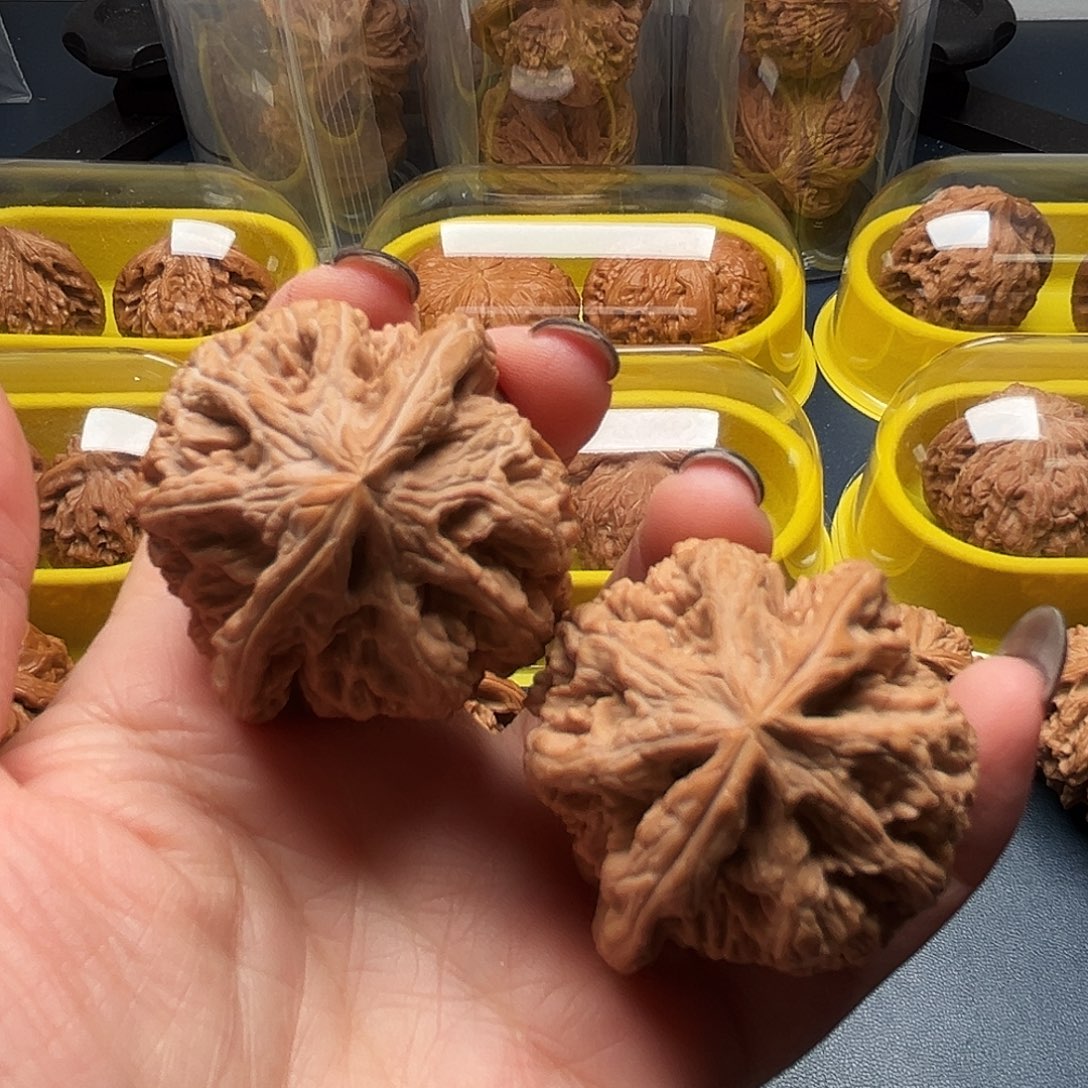 核桃43尺寸大粗筋