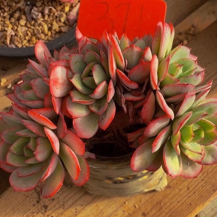 在家干的话把东西收回来