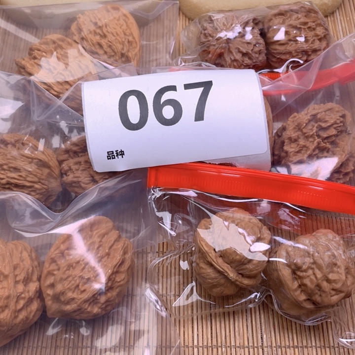 文玩核桃把件67号6对带练手蛙