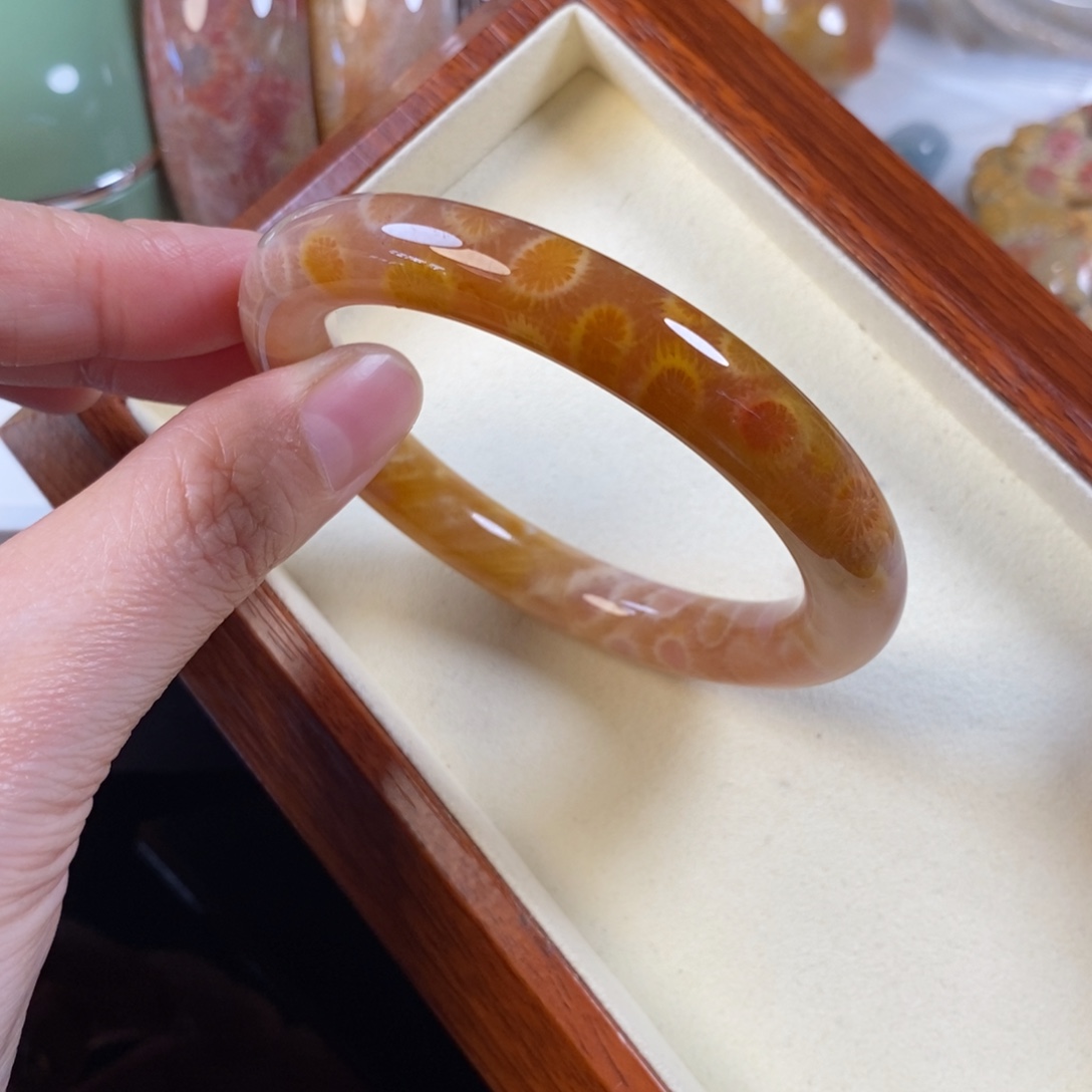 硅化珊瑚（珊瑚玉）未镶嵌手镯56.2口1500