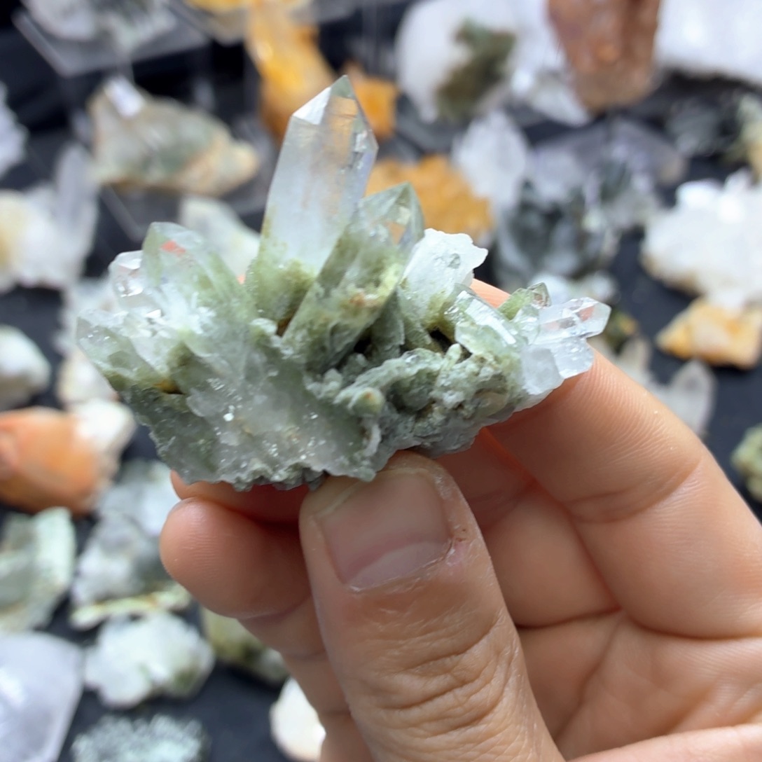 石材小可爱绿幽簇