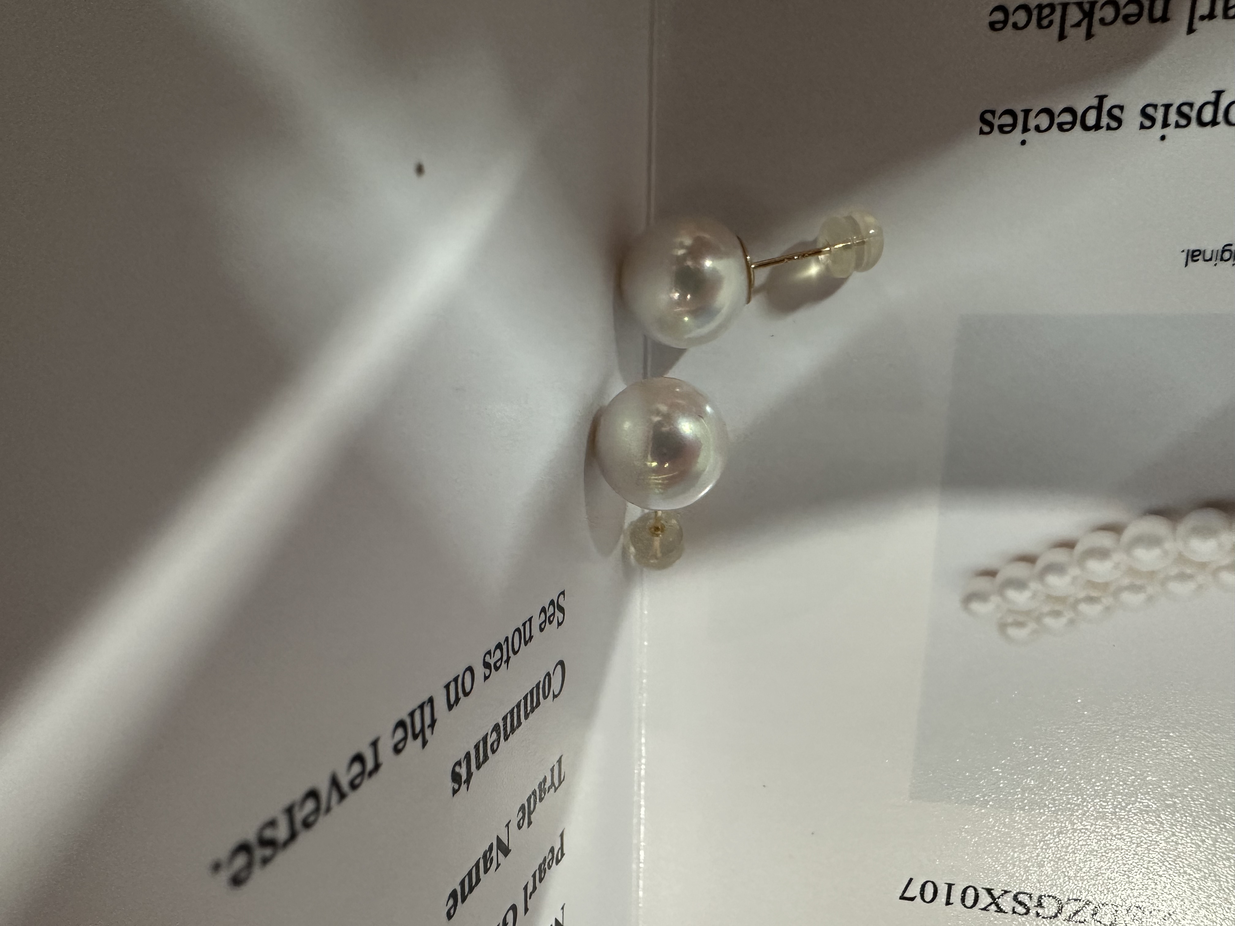 淡水珍珠耳钉11-12mm经典时尚