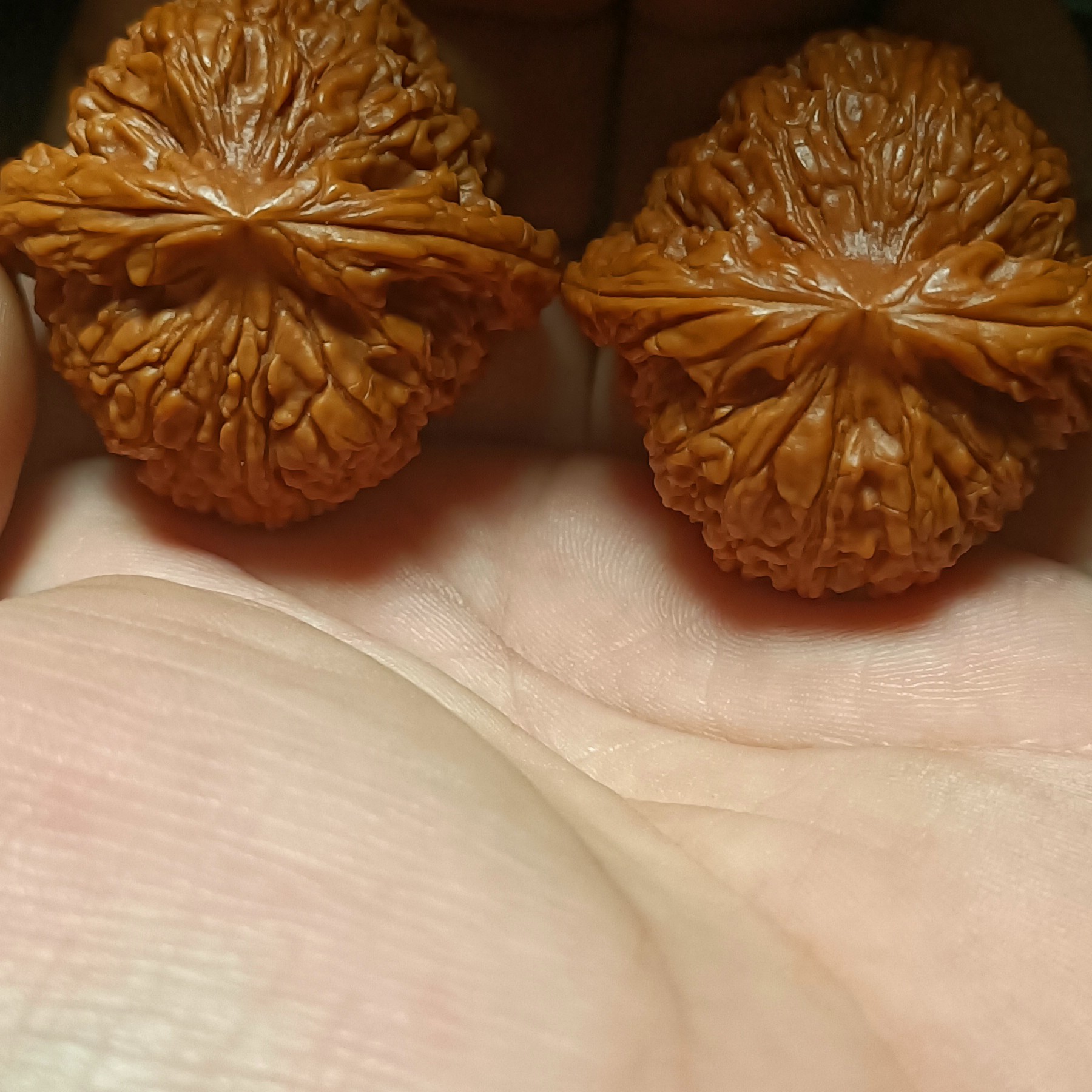 精品文玩核桃南疆石狮子头