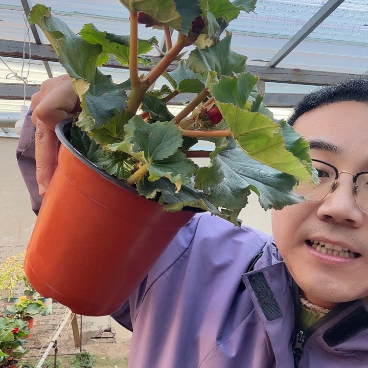 玲****完全开放中国红➕保温