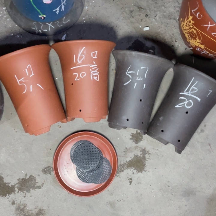 这种事周三周四找对象的  