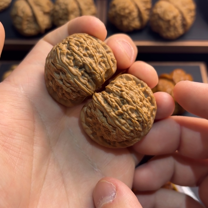 文玩核桃把件球白狮子头38