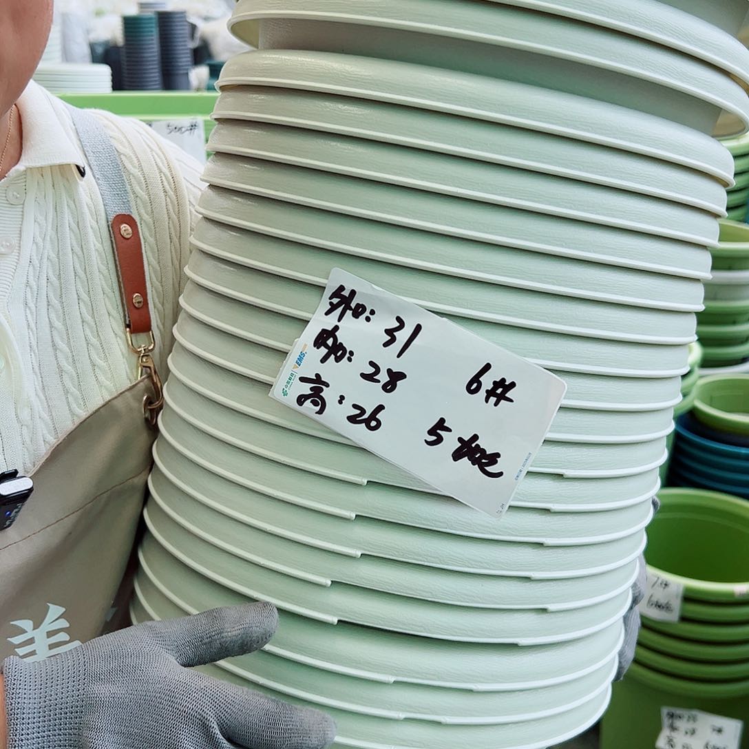 瑕疵青山盆6#米白色6个无托