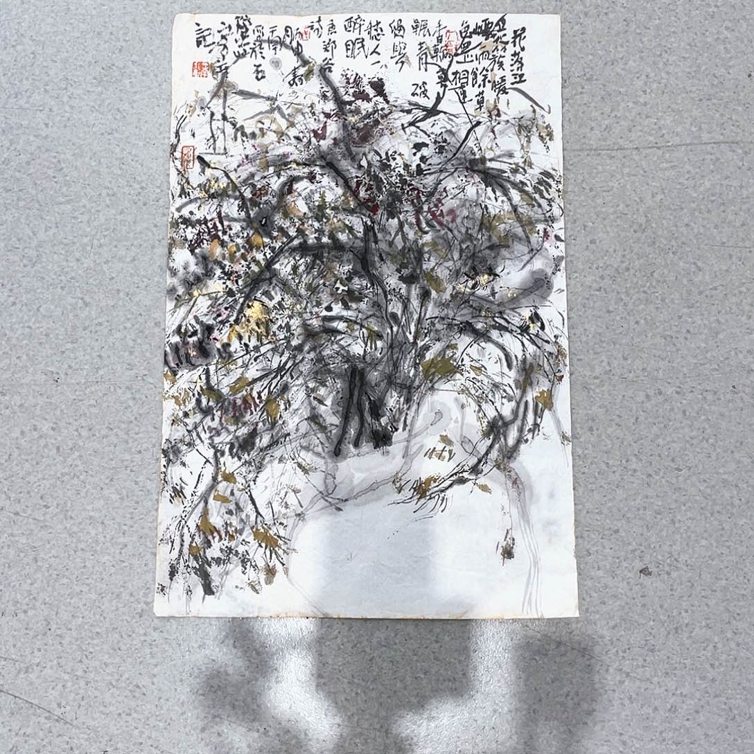 国画_****?张一南精品软片