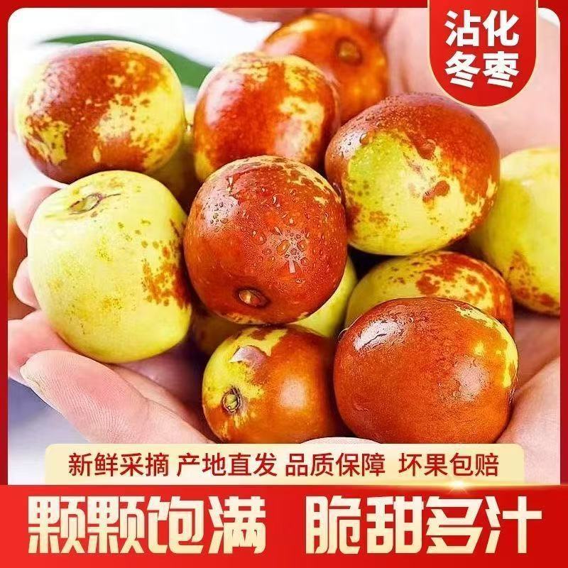 山东沾化冬枣产地直发冰糖冬枣脆甜特大自然成熟新鲜水果包邮