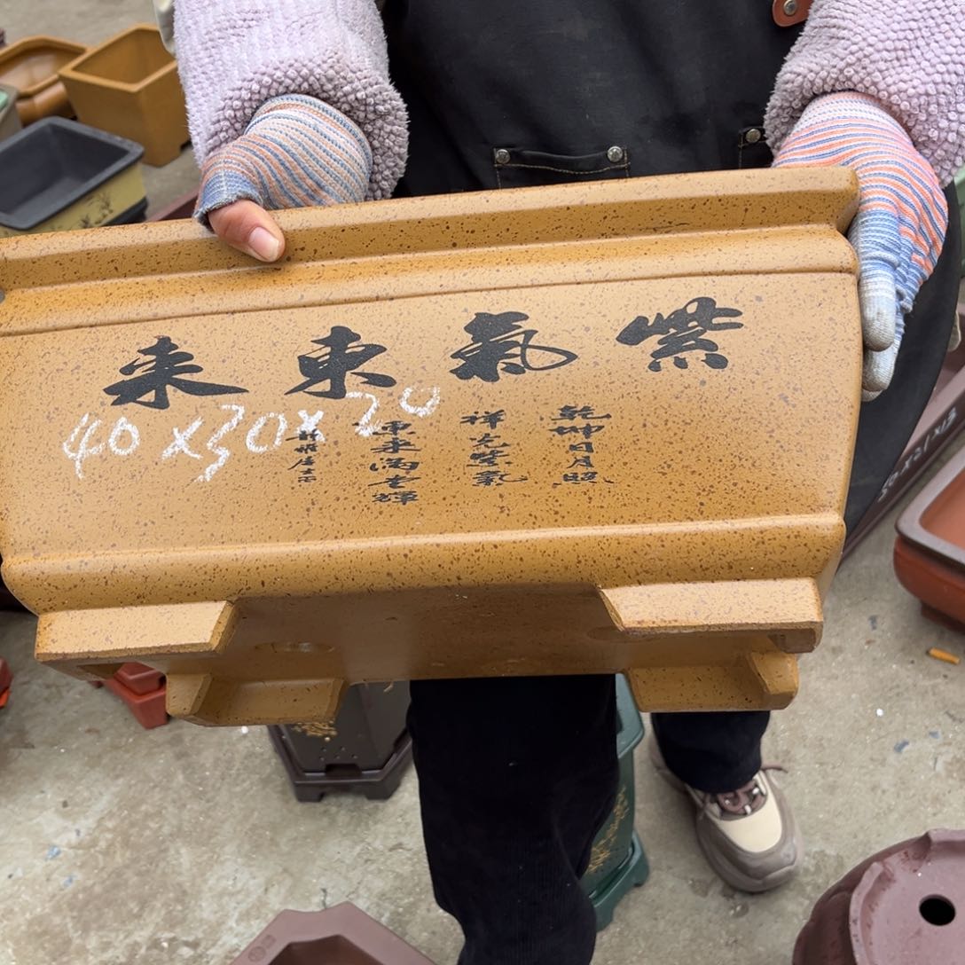 紫砂花盆盆景艺术