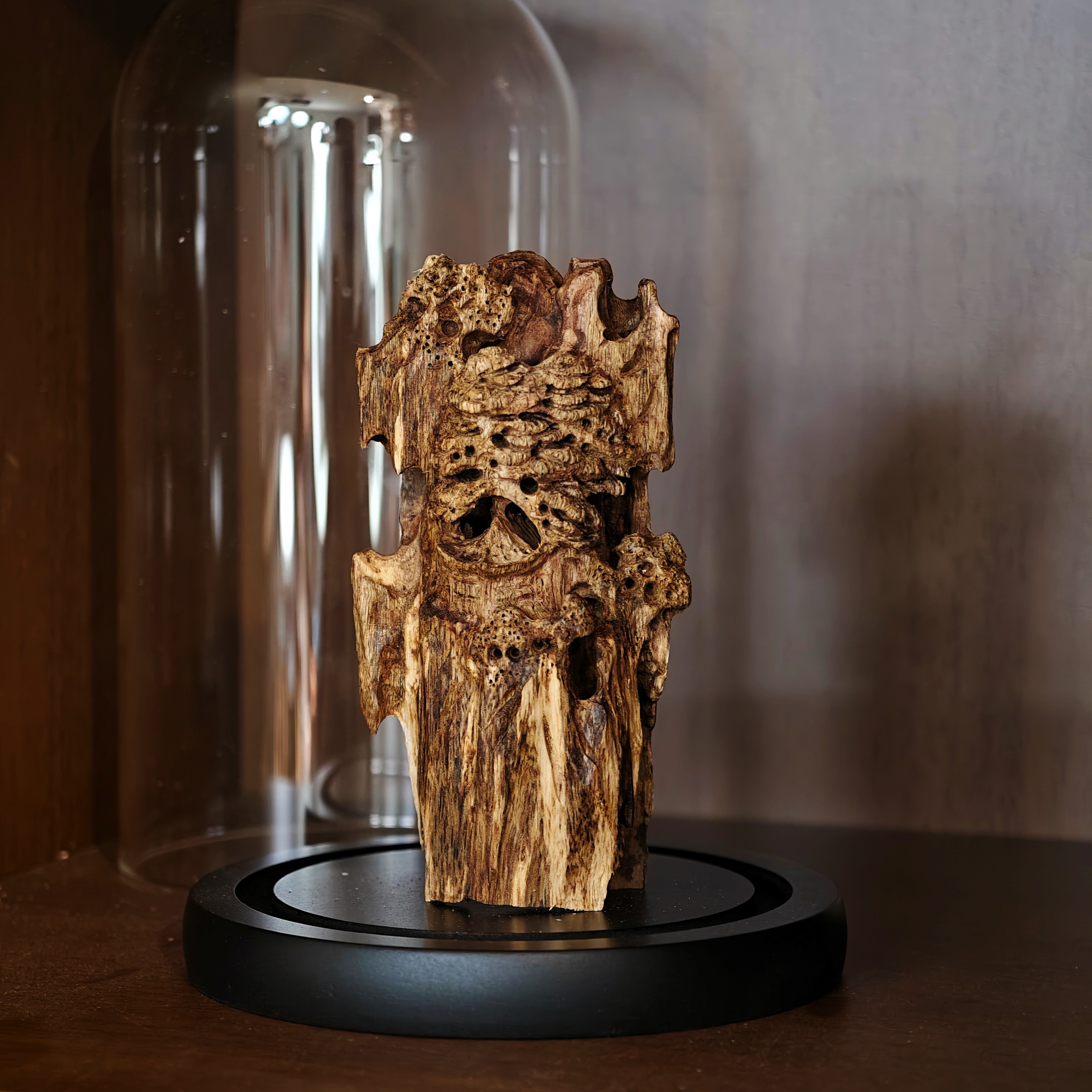 沉香海南母树虫漏香摆件-孤品