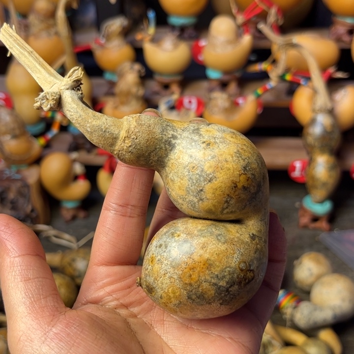 *****花皮葫芦天天开心