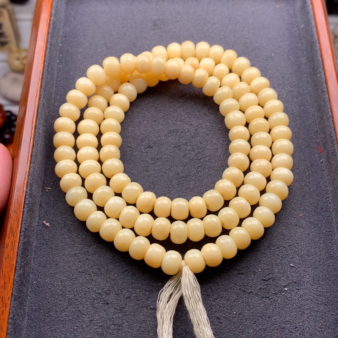 驼骨其他天天都在盘  8