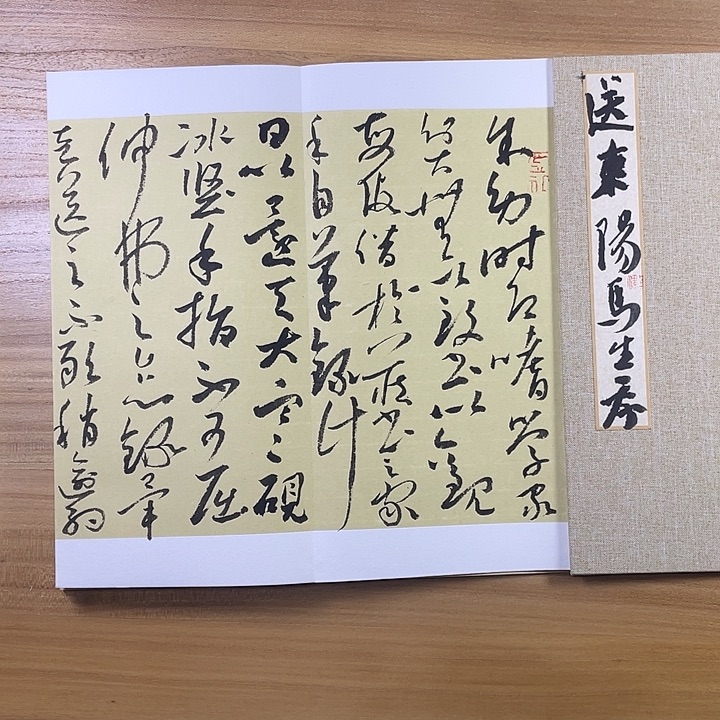 书法中书协会员作品