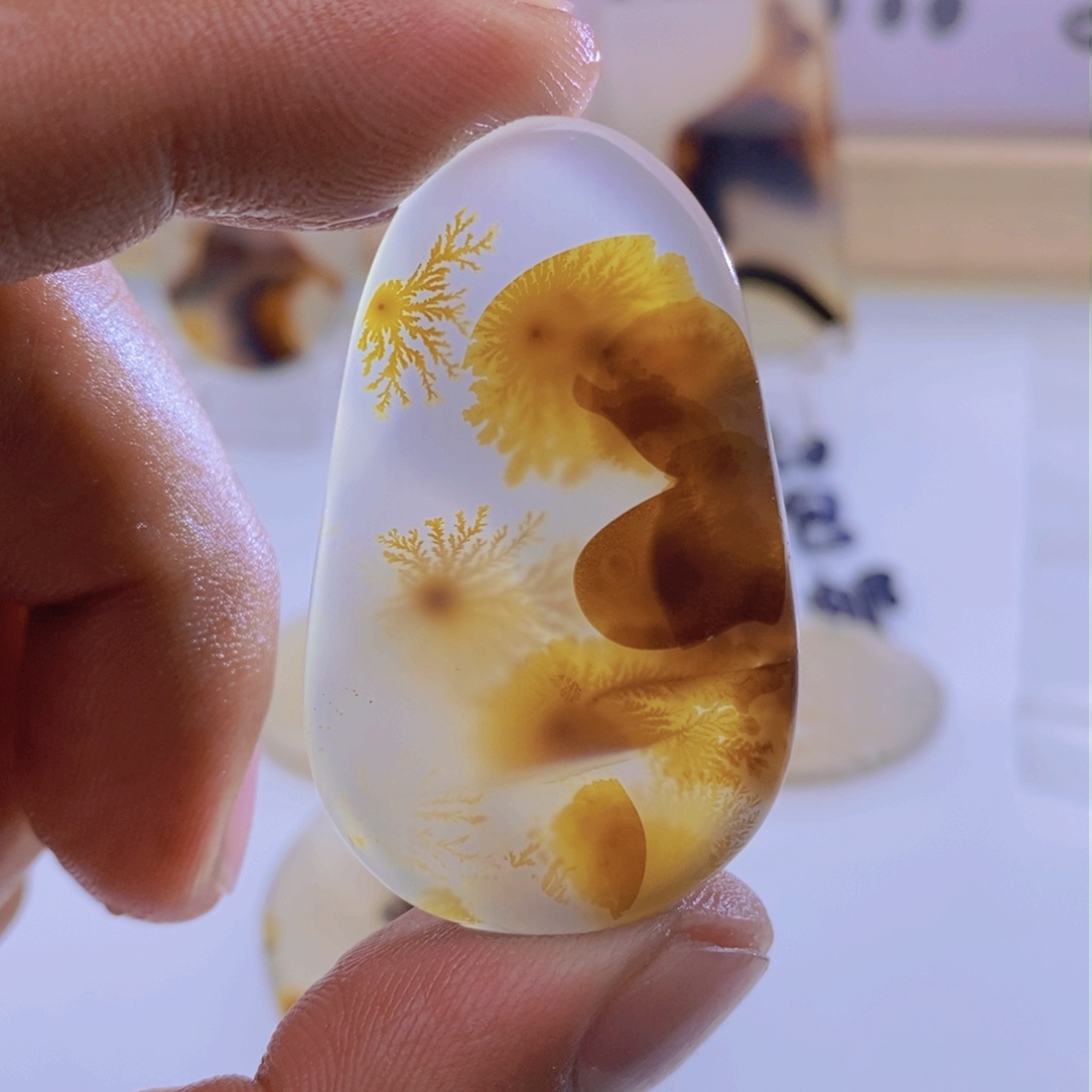 玛瑙/玉髓颈饰未镶嵌