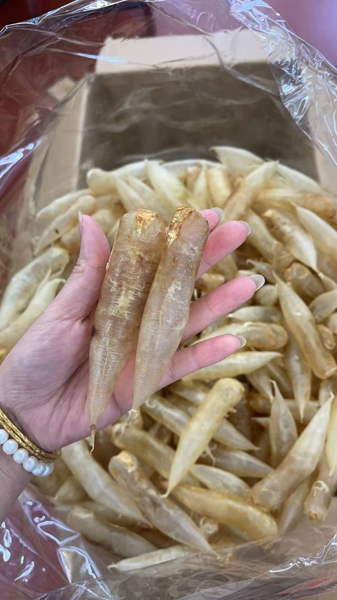 蜘蛛胶与豆仁胶代拍链接～