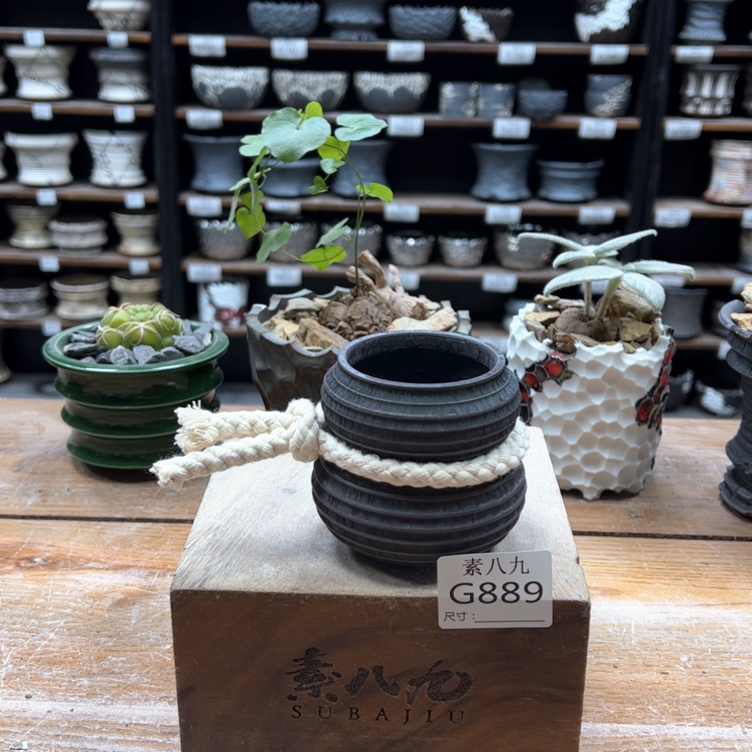 素八九陶瓷内口5.5高7