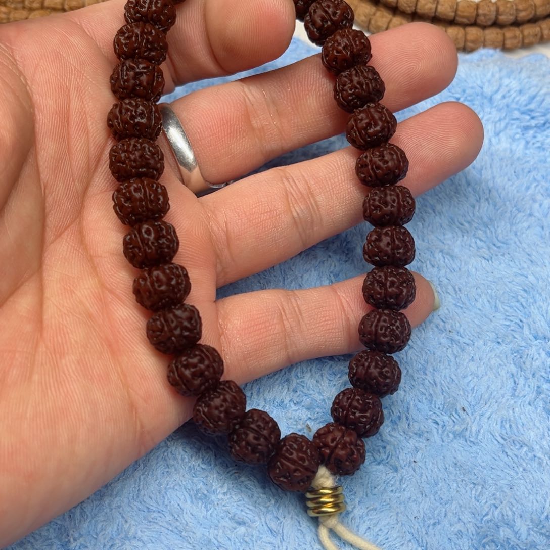 金刚菩提手串纯血老树王