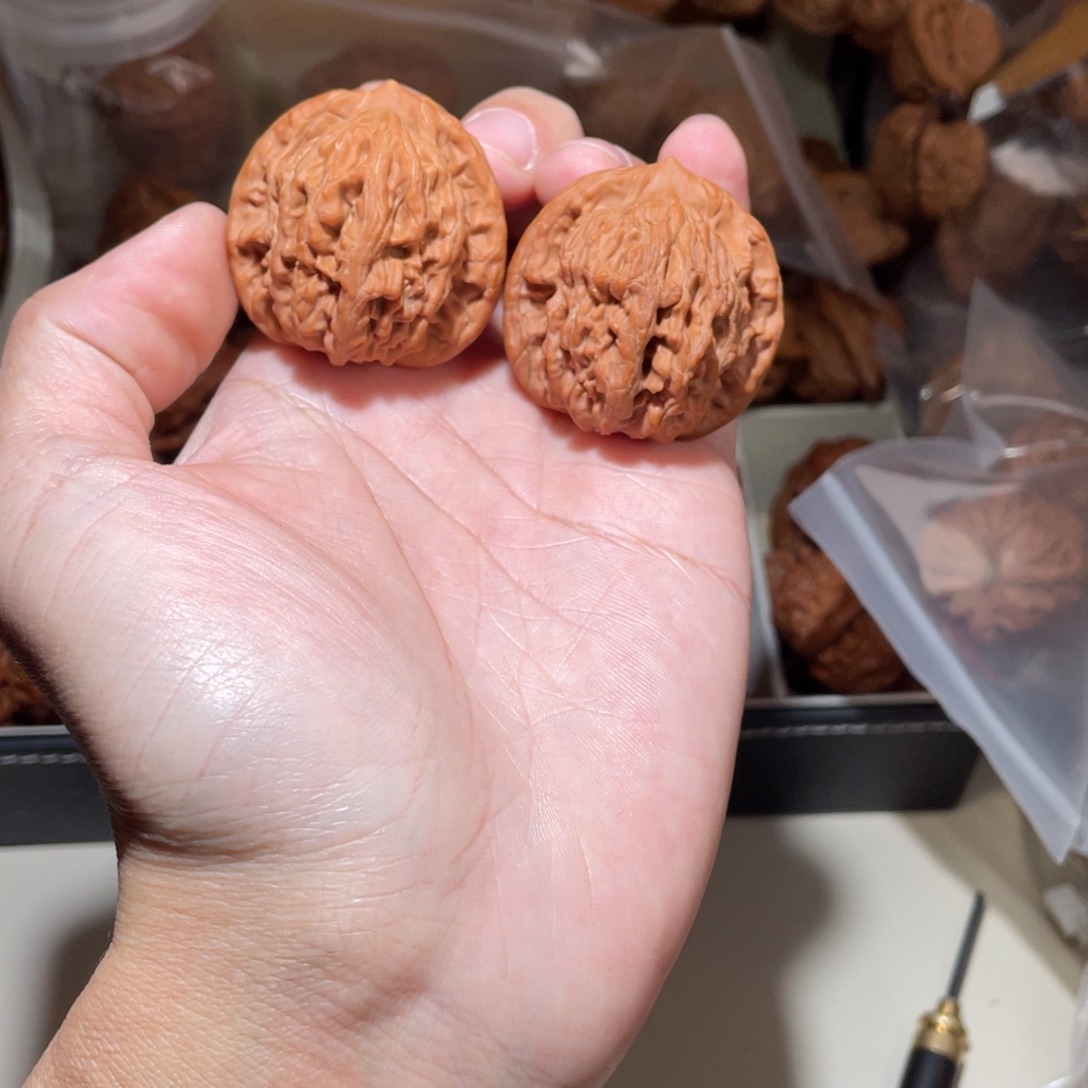 39尺寸全品无修邢台虎头