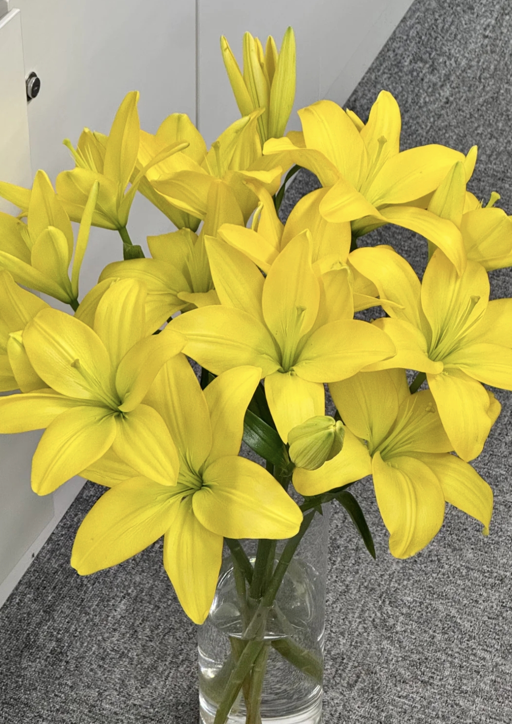 【黄钻亚百合】浪漫花材（云南基地现采现发）