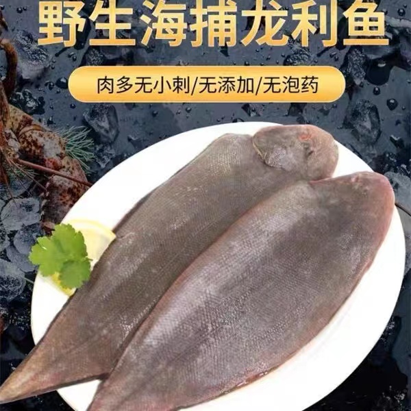 龙利鱼龙舌鱼广东野生深海捕捞宝宝辅食（约3条/斤）帮杀